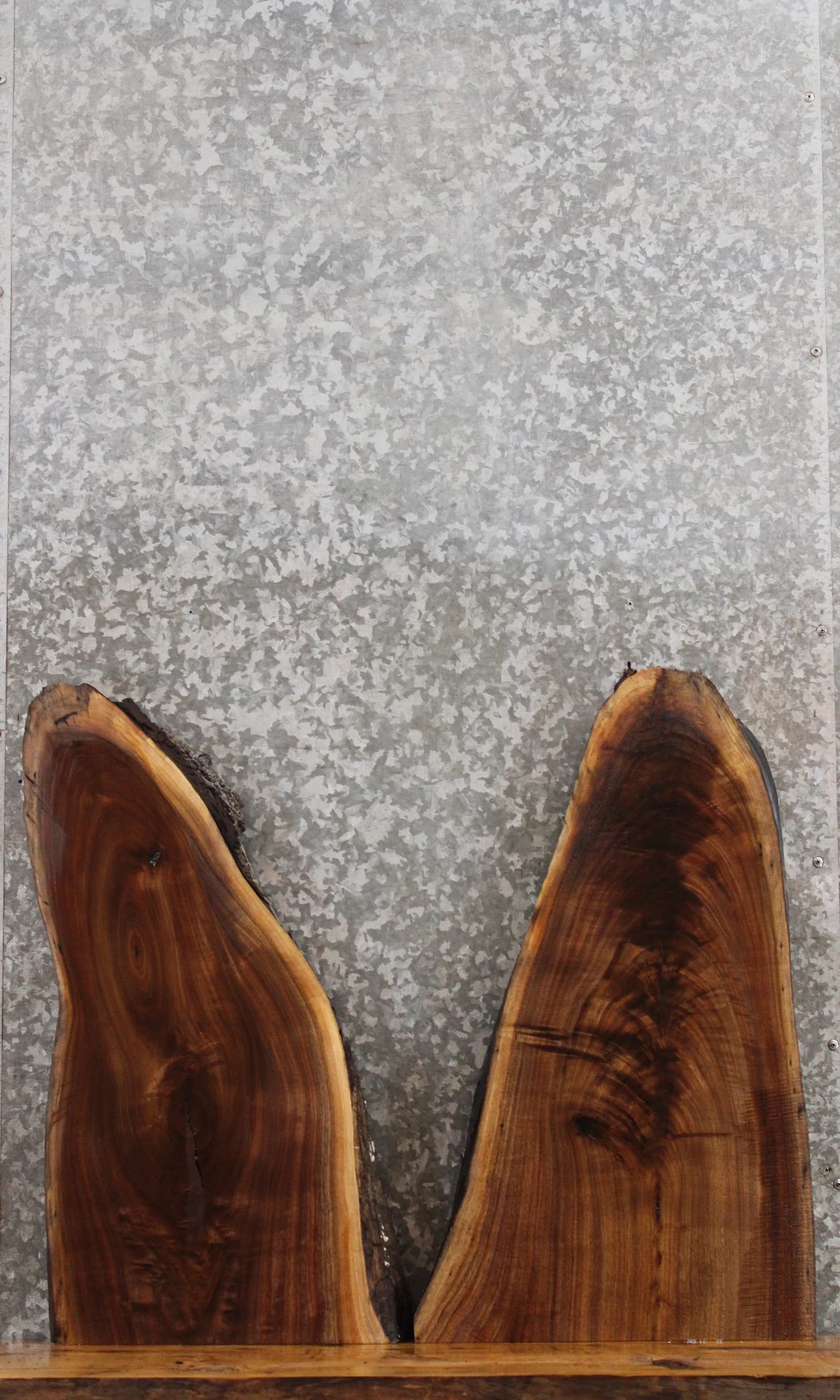 2- Live Edge Black Walnut Taxidermy Mounts/Charcuterie Boards 13710-13711