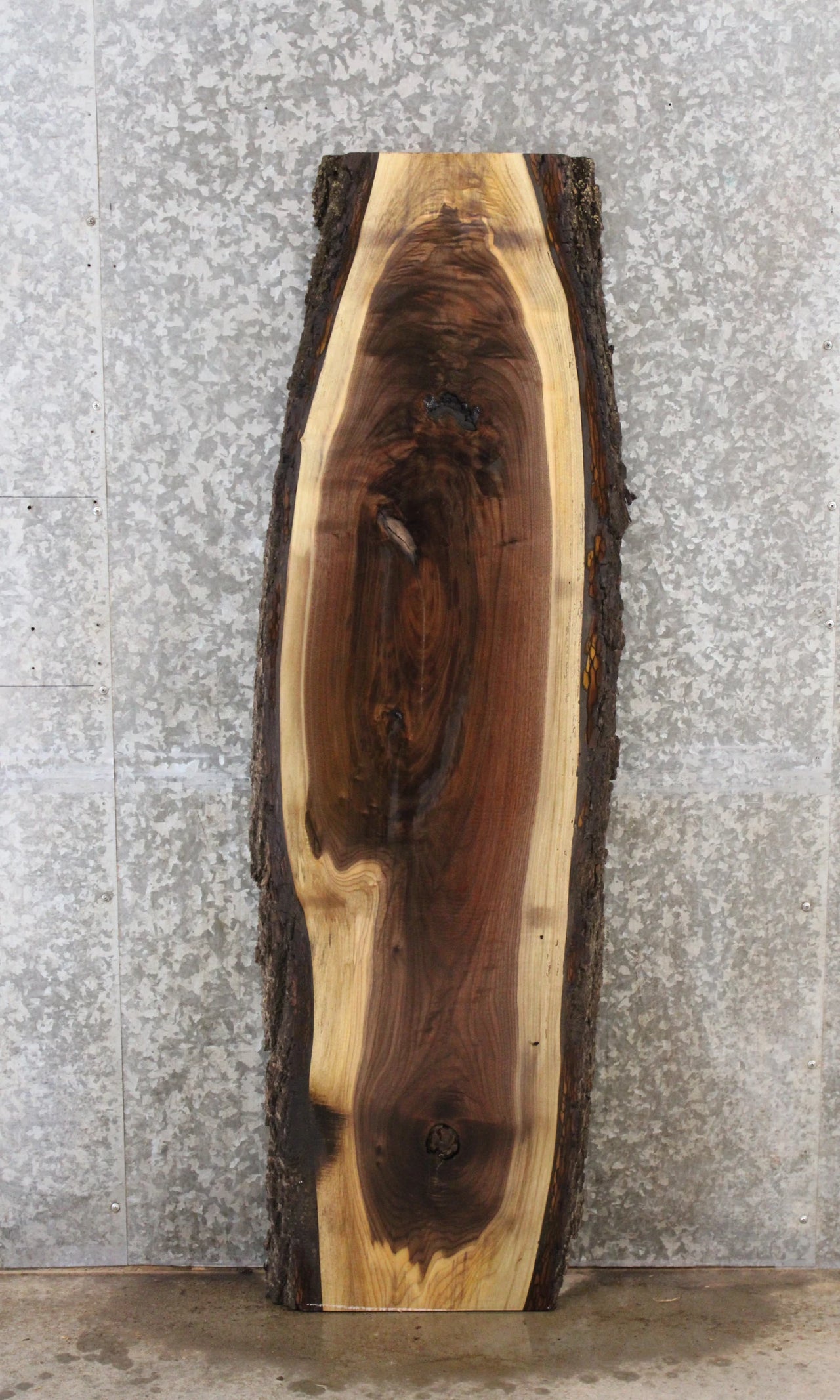 Black Walnut Live Edge Taxidermy Mount Board 1371