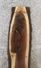 Thumbnail for Black Walnut Live Edge Taxidermy Mount Board 1371
