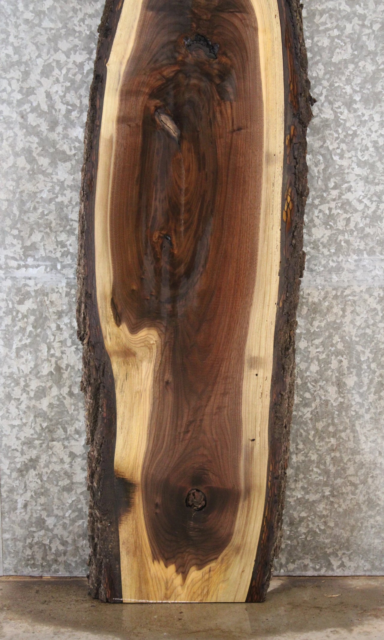 Black Walnut Live Edge Taxidermy Mount Board 1371