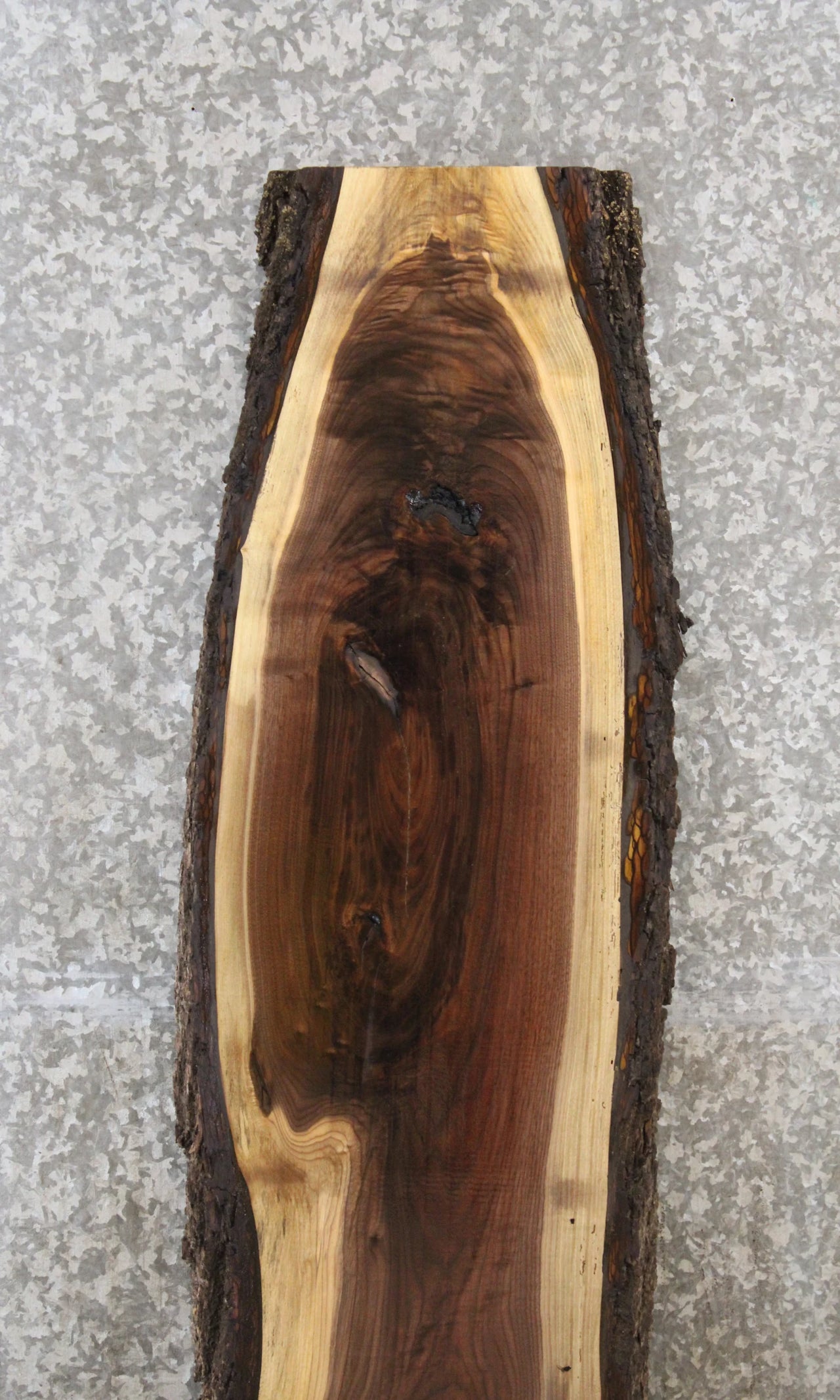 Black Walnut Live Edge Taxidermy Mount Board 1371