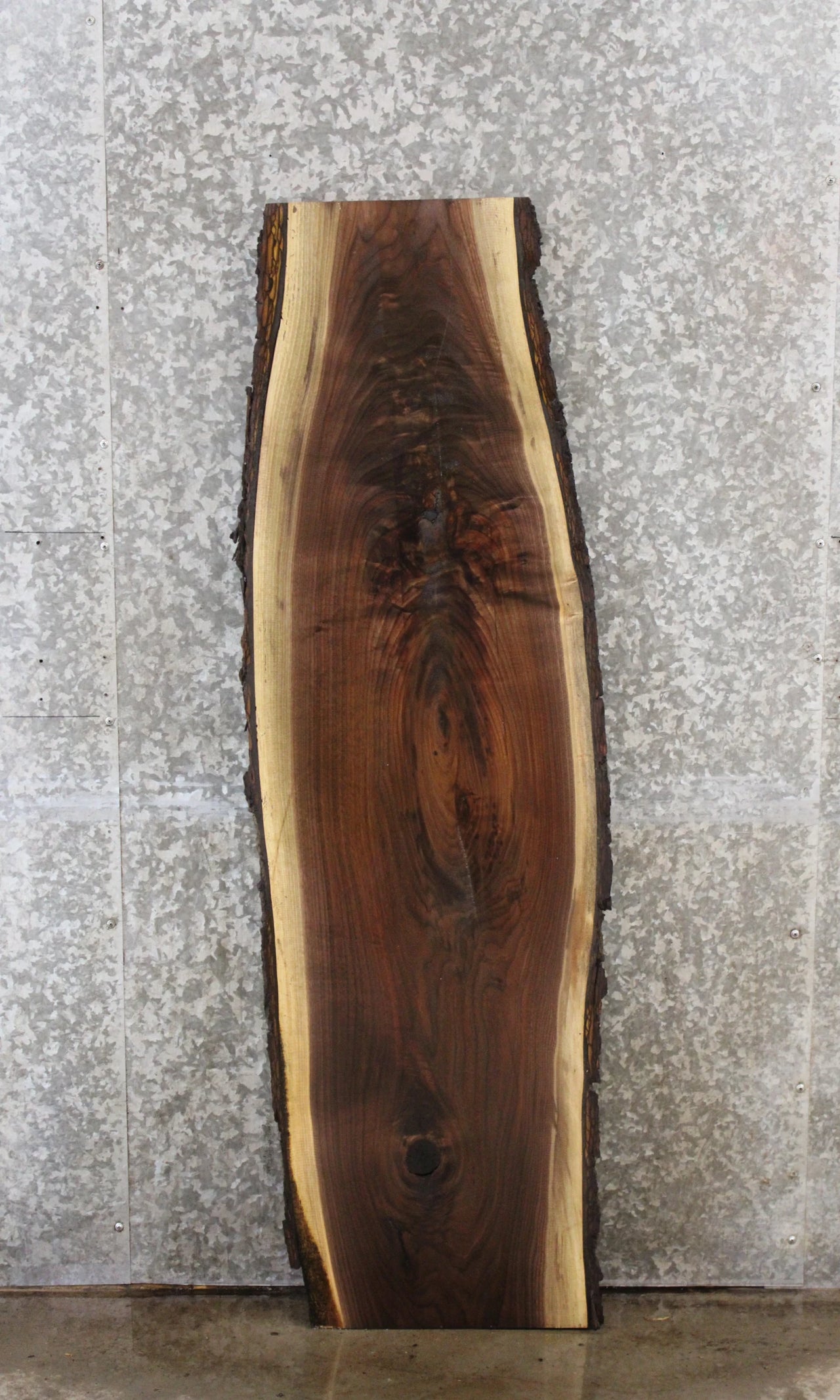 Black Walnut Live Edge Taxidermy Mount Board 1371