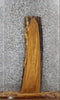 Thumbnail for White Oak Live Edge Charcuterie/Taxidermy Slab 1371