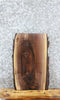 Thumbnail for Walnut Live Edge Charcuterie/End Table Slab 13723