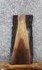 Thumbnail for Walnut Live Edge Charcuterie/Taxidermy Slab 13724
