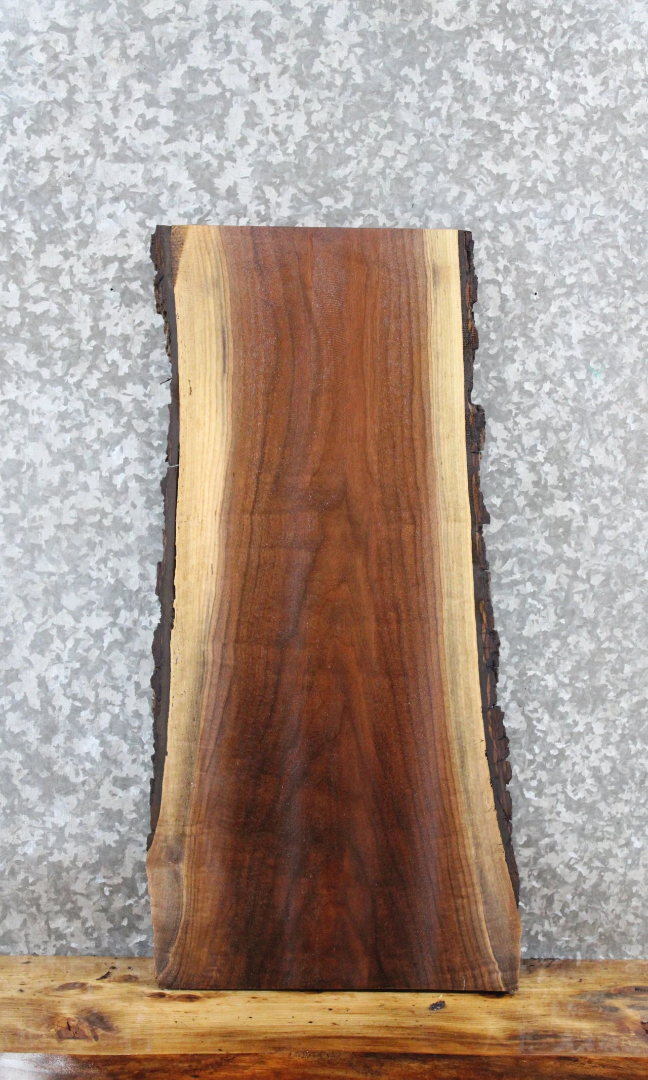 Walnut Live Edge Charcuterie/Taxidermy Slab 13724
