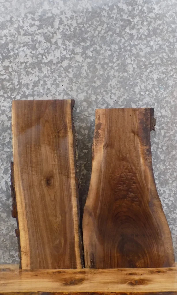 2- Live Edge Black Walnut Taxidermy Mount/Wall Shelf Slabs 13725-13726