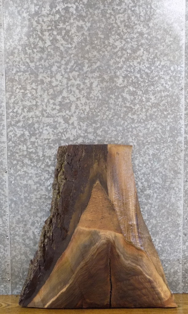 Salvaged Live Edge Bark Black Walnut Side Table Top Slab 13733