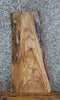Thumbnail for Live Edge Elm Taxidermy Mount/Sofa Table Top Slab 13734