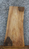 Thumbnail for Live Edge Elm Taxidermy Mount/Sofa Table Top Slab 13734