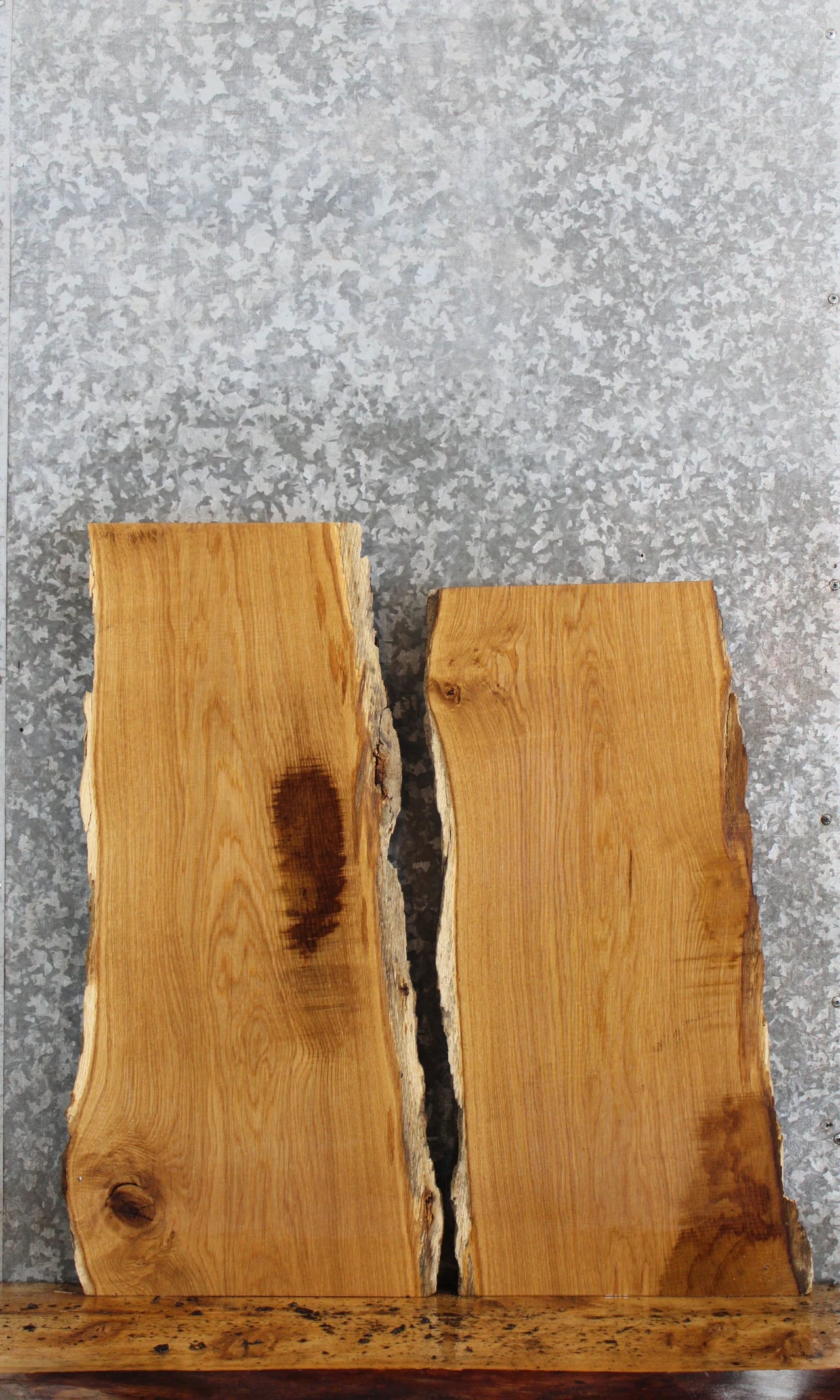 2- Live Edge Spalted White Oak Table Top/Taxidermy Mount Slabs 13748-13749