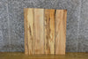 Thumbnail for 4- Maple Rustic Kiln Dried Lumber Boards/Wood Shelf Slabs 13752-13753