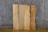 Thumbnail for 4- Maple Rustic Kiln Dried Lumber Boards/Wood Shelf Slabs 13752-13753