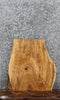 Thumbnail for Live Edge Maple End/Entry Table Top Slab 13758