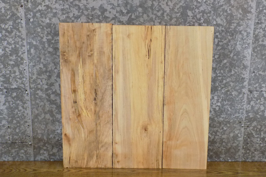 3- Kiln Dried Maple Rustic Lumber Boards/Wood Shelf Slabs 13761