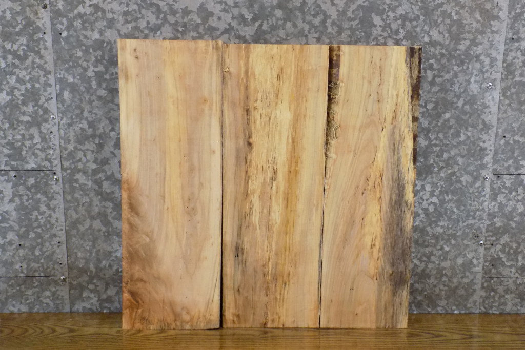 3- Kiln Dried Maple Rustic Lumber Boards/Wood Shelf Slabs 13761