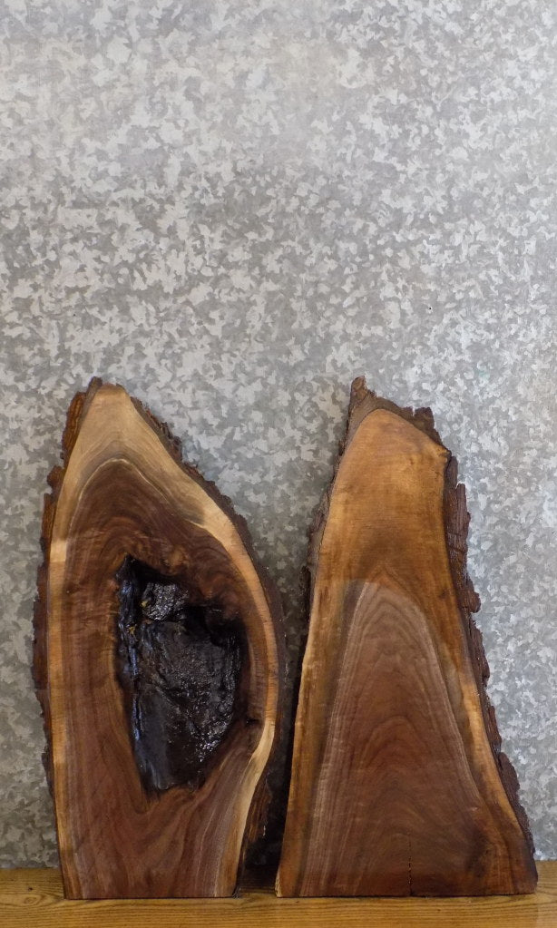 2- Salvaged Live Edge Bark Black Walnut Craft Pack Wood Slabs 13762-13763