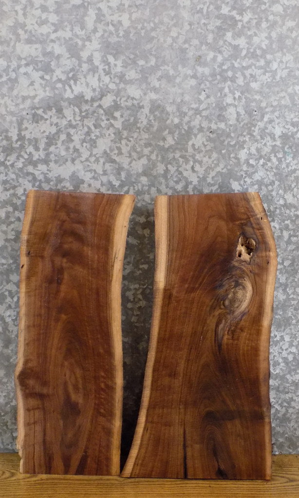 2- Live Edge Rustic Black Walnut Craft Pack/Taxidermy Base Slabs 13764-13765
