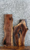 Thumbnail for 2- Live Edge Black Walnut Charcuterie Boards/Taxidermy Mounts 13764-13765