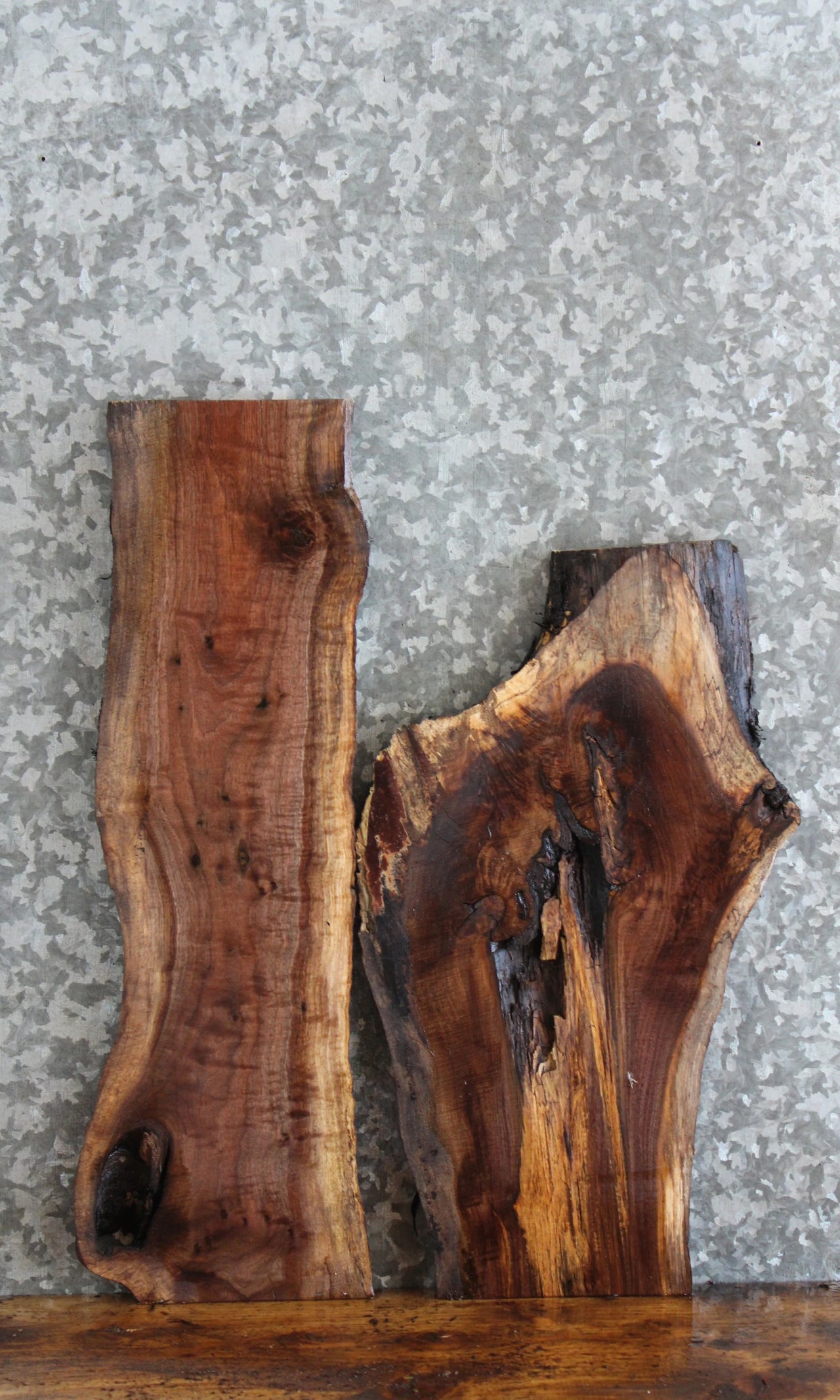 2- Live Edge Black Walnut Charcuterie Boards/Taxidermy Mounts 13764-13765