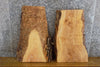 Thumbnail for 2- Live Edge Reclaimed Ash Craft Pack/Taxidermy Base Slabs 13768-13769