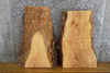 Thumbnail for 2- Live Edge Reclaimed Ash Craft Pack/Taxidermy Base Slabs 13768-13769