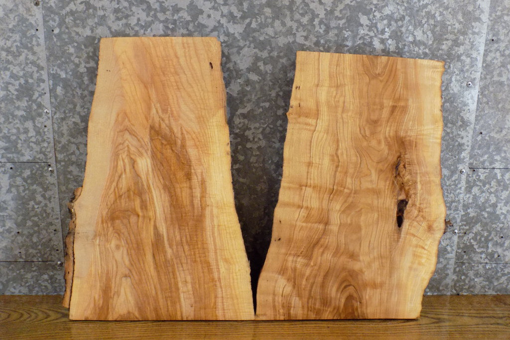 2- Live Edge Reclaimed Ash Craft Pack/Taxidermy Base Slabs 13768-13769