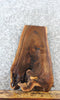 Thumbnail for Live Edge Black Walnut End Table Top/Charcuterie Board Slab 13776