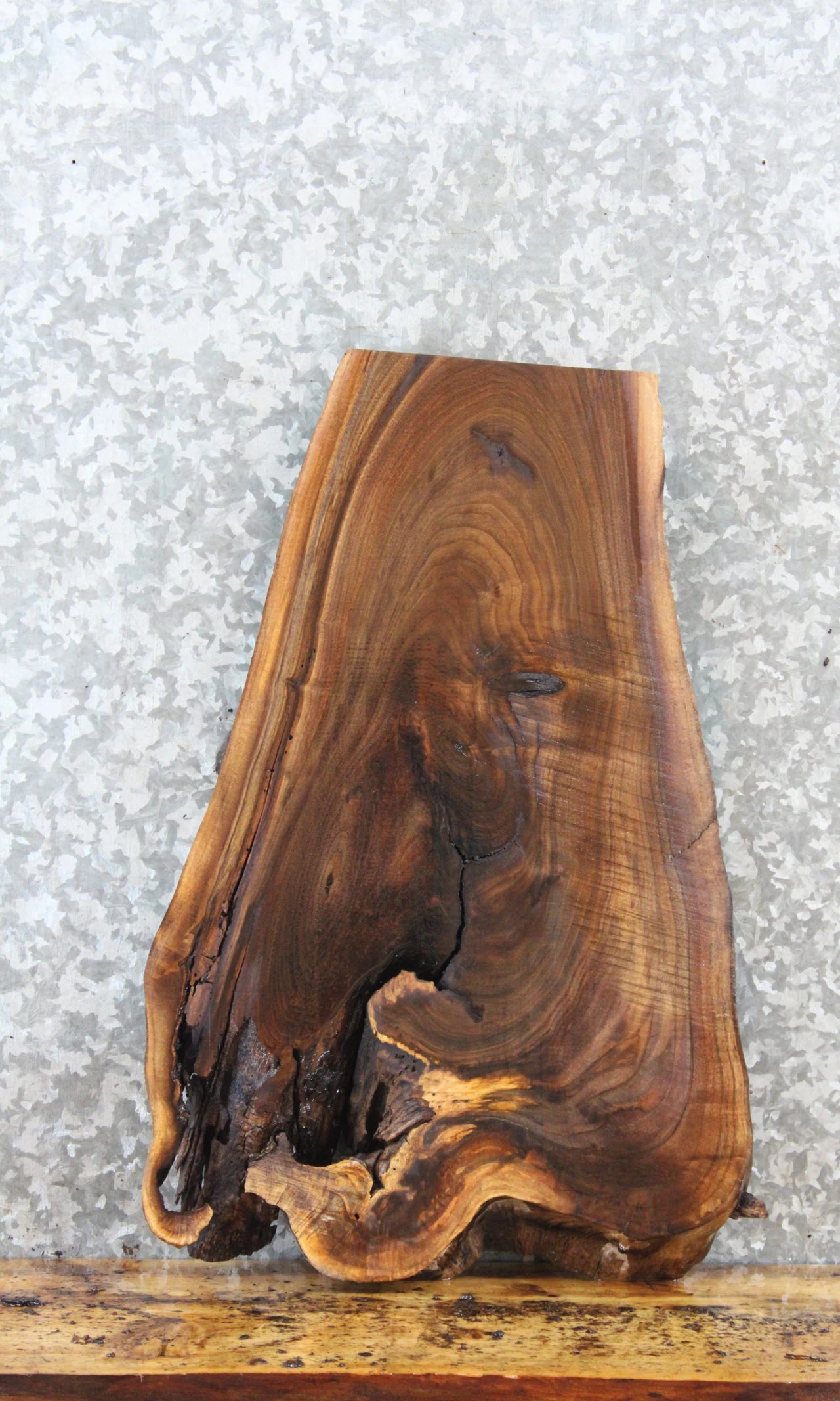 Live Edge Black Walnut End Table Top/Charcuterie Board Slab 13776
