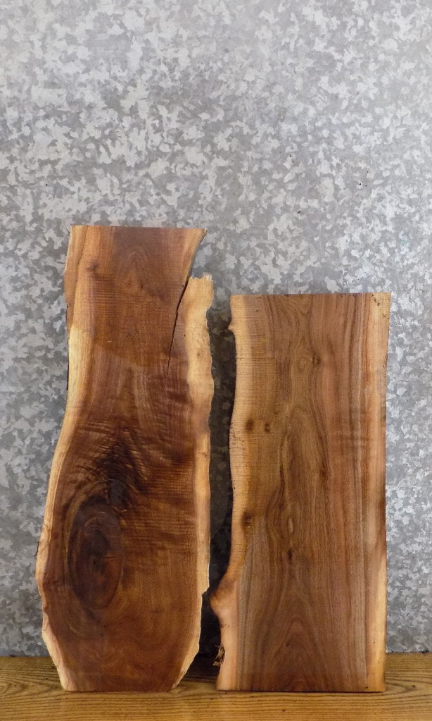 2- Black Walnut Salvaged Live Edge Taxidermy Bases/Craft Pack 13778-13779