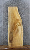 Thumbnail for Maple Live Edge Charcuterie/Bench Slab 1377