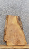 Thumbnail for Figured Live Edge Ash Slab /Taxidermy Mount /Side Table Top 13780