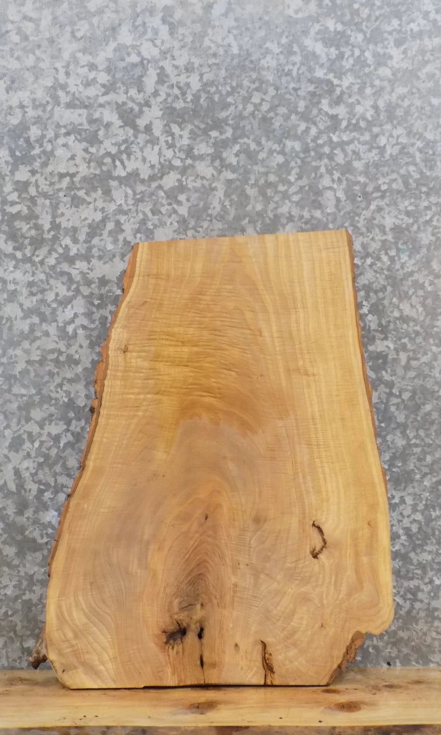 Figured Live Edge Ash Slab /Taxidermy Mount /Side Table Top 13780
