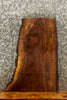Thumbnail for Live Edge Black Walnut Taxidermy Base 13789