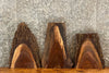 Thumbnail for 3- Black Walnut Live Edge Taxidermy Mount Slabs/End Table Tops 13792-13793,13807
