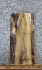 Thumbnail for Live Edge Black Walnut Side Table Top/Taxidermy Mount Slab 13795