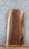 Thumbnail for Live Edge Black Walnut Side Table Top/Taxidermy Mount Slab 13795