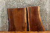 Thumbnail for 2- Live Edge Black Walnut Slabs, Taxidermy Mounts, Charcuterie 13798,13801