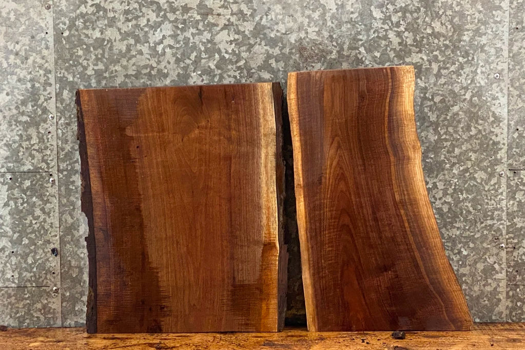 2- Live Edge Black Walnut Slabs, Taxidermy Mounts, Charcuterie 13798,13801