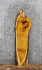Thumbnail for Yellow Mulberry Live Edge Coffee Table/Bench Slab 1379