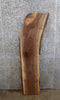 Thumbnail for Live Edge Black Walnut Mantle/Wall Shelf/Accent Table Top Slab 1380