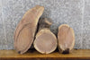Thumbnail for 3- Reclaimed Oval Cut Black Walnut Live Edge Craft Pack Slabs 13816-13818