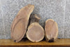 Thumbnail for 3- Reclaimed Oval Cut Black Walnut Live Edge Craft Pack Slabs 13816-13818