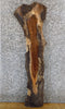 Thumbnail for Black Walnut Live Edge Salvaged Accent/Sofa Table Top Slab 1381