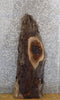 Thumbnail for Rustic Live Edge Bark Black Walnut Coffee/Sofa Table Top Slab 1382