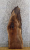 Thumbnail for Rustic Live Edge Bark Black Walnut Coffee/Sofa Table Top Slab 1382