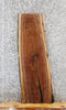 Thumbnail for Black Walnut Live Edge Wood Slab, Floating Shelf 1385
