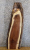 Thumbnail for Rustic Live Edge Black Walnut Coffee/Sofa Table Top Slab 1386
