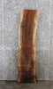 Thumbnail for Black Walnut Live Edge Bench/Mantel/Shelf Slab 1387