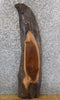 Thumbnail for Salvaged Live Edge Black Walnut Accent/Side Table Top Slab 1389